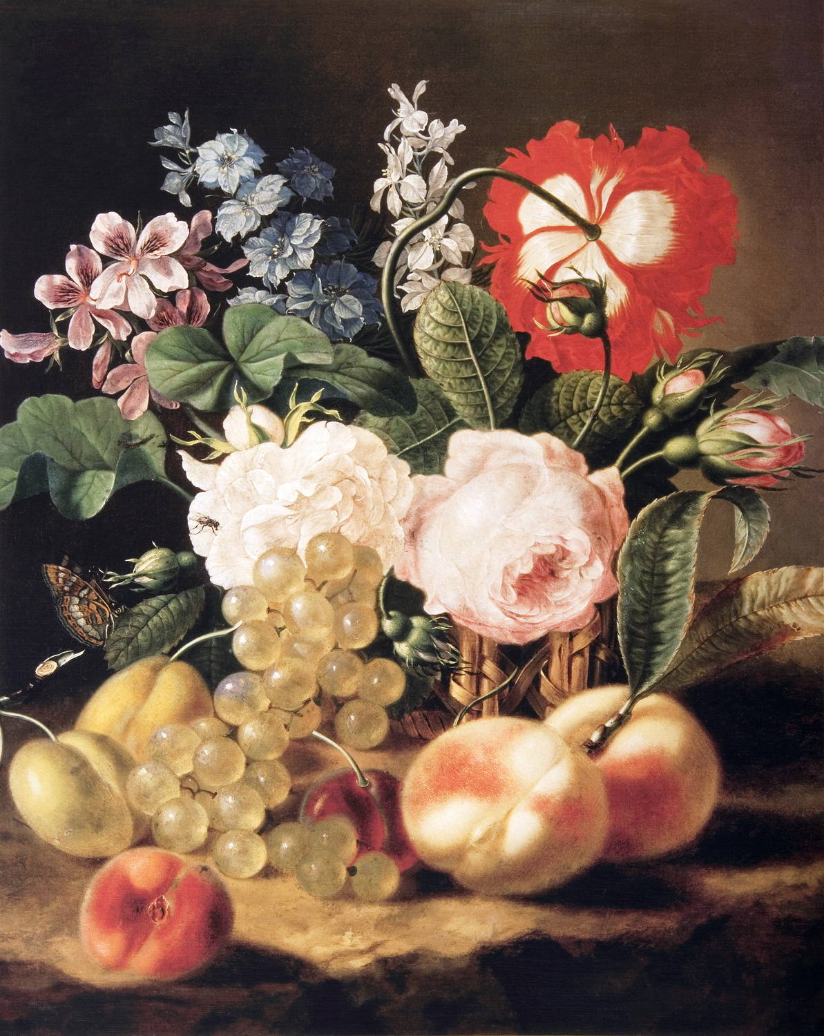 Плоды И Цветы