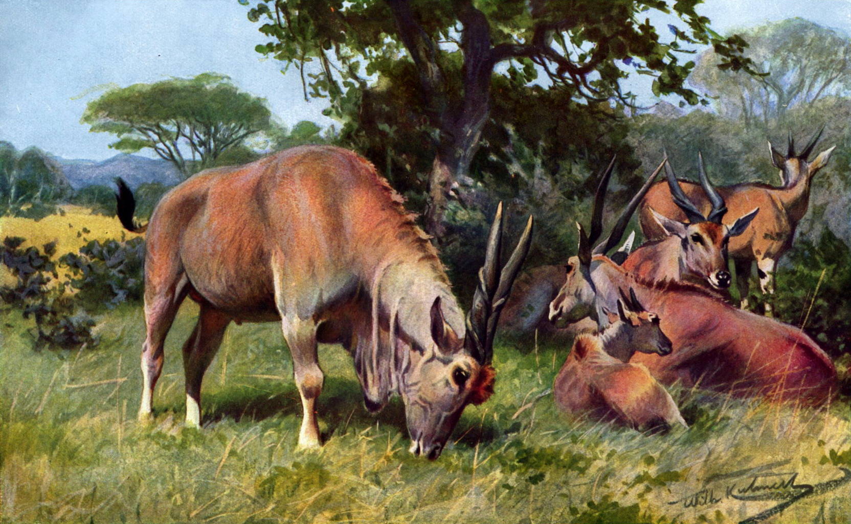 Картина в Венской галерее и антилопа