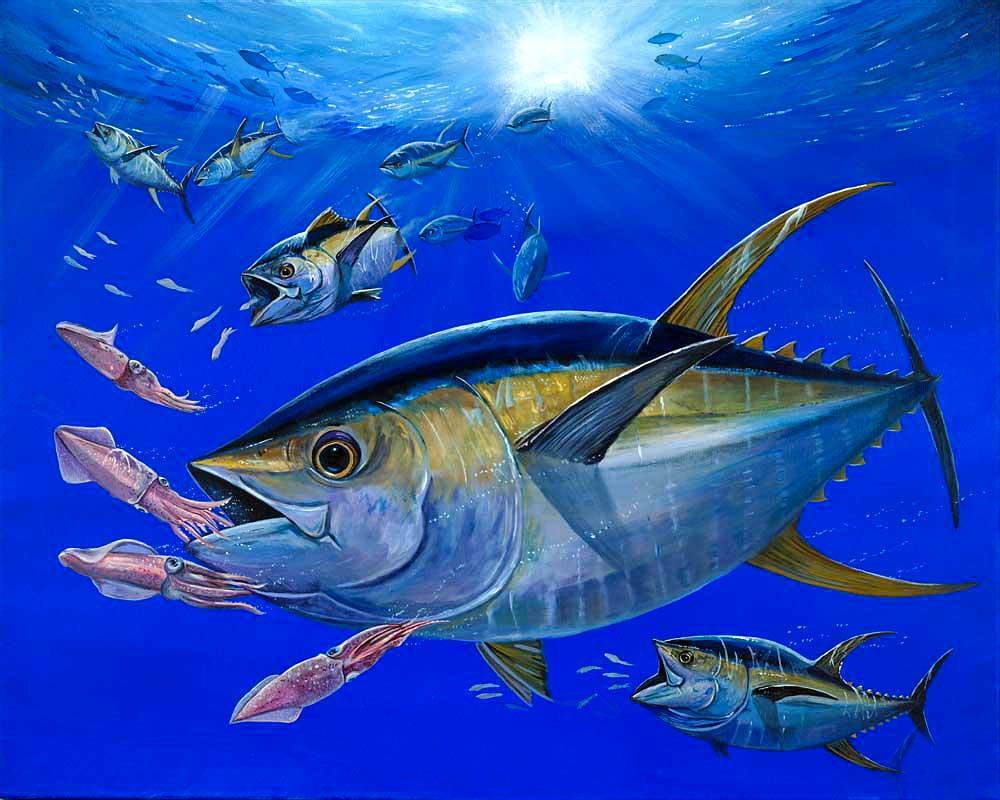 Желтопёрый тунец